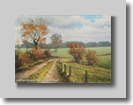 Bracht in de herfst