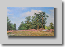 Liereman - Bos van Boo